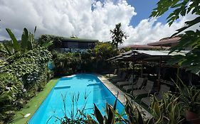 Ballena Rey Hotel